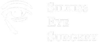 Silkiss Eyework logo
